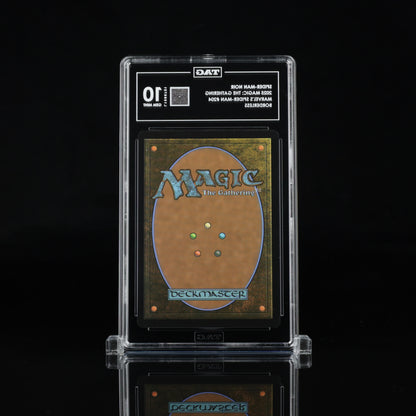 Spider-Man Noir (Borderless) - TAG 10 Gem Mint - 2025 Magic: The Gathering Marvel's Spider-Man #204